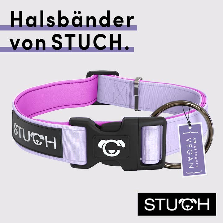 STUCH - Wholesale Pet Collar - Dog - Padded dog collar - lilac1