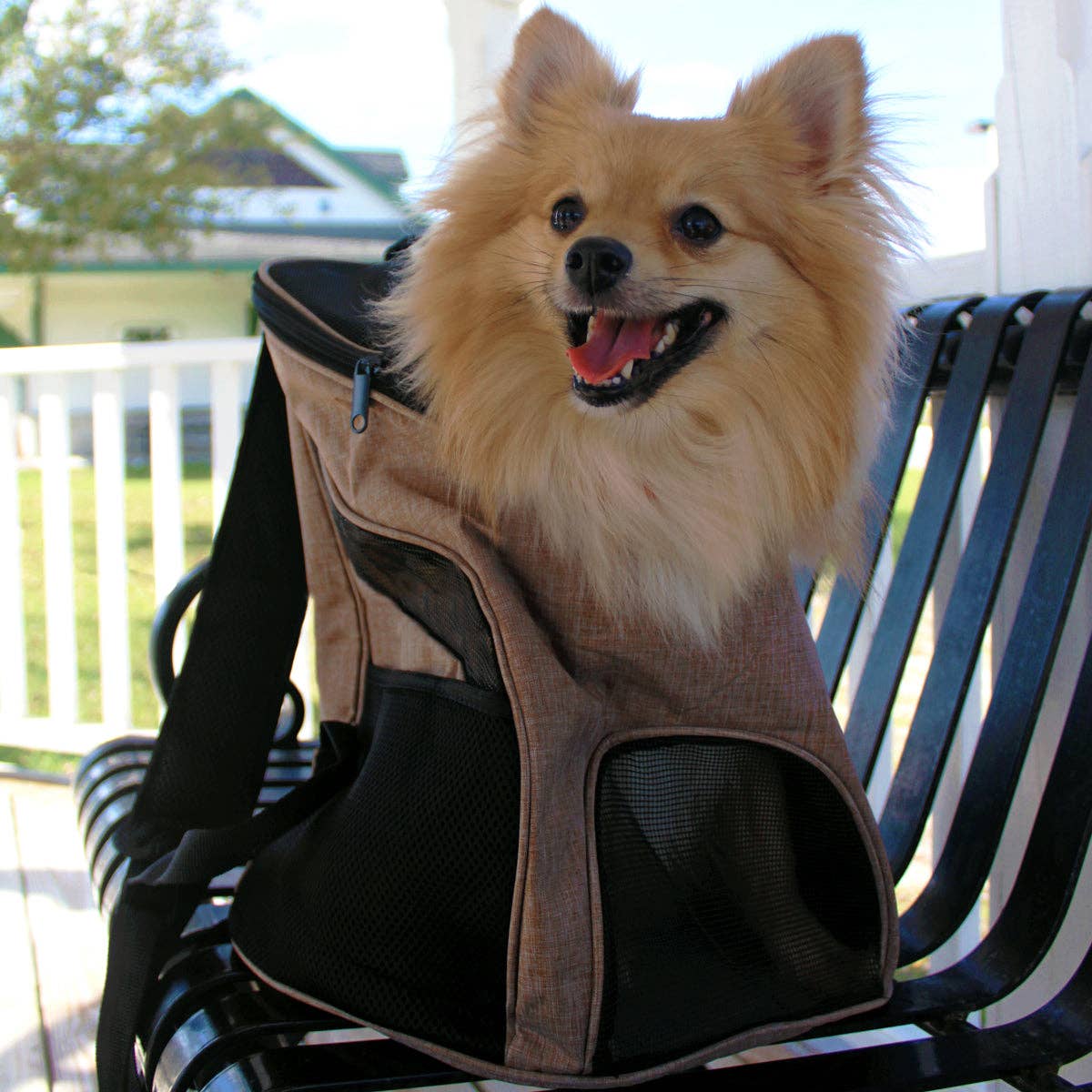 Dogline - Wholesale Draagzak voor huisdieren - Kat/hond - Dogline zachte katten- en hondenrugzak met ventilatienetten13