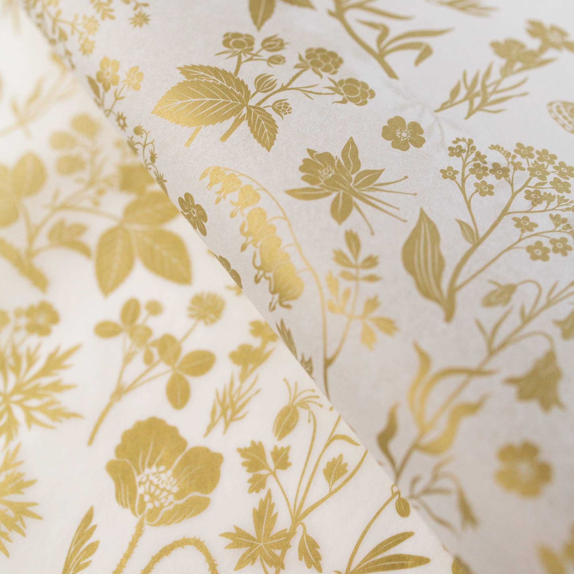 Botanica Paper Co. - Vente Papiers de soie - GOLD MEADOW | Papier de soie (10 feuilles)2