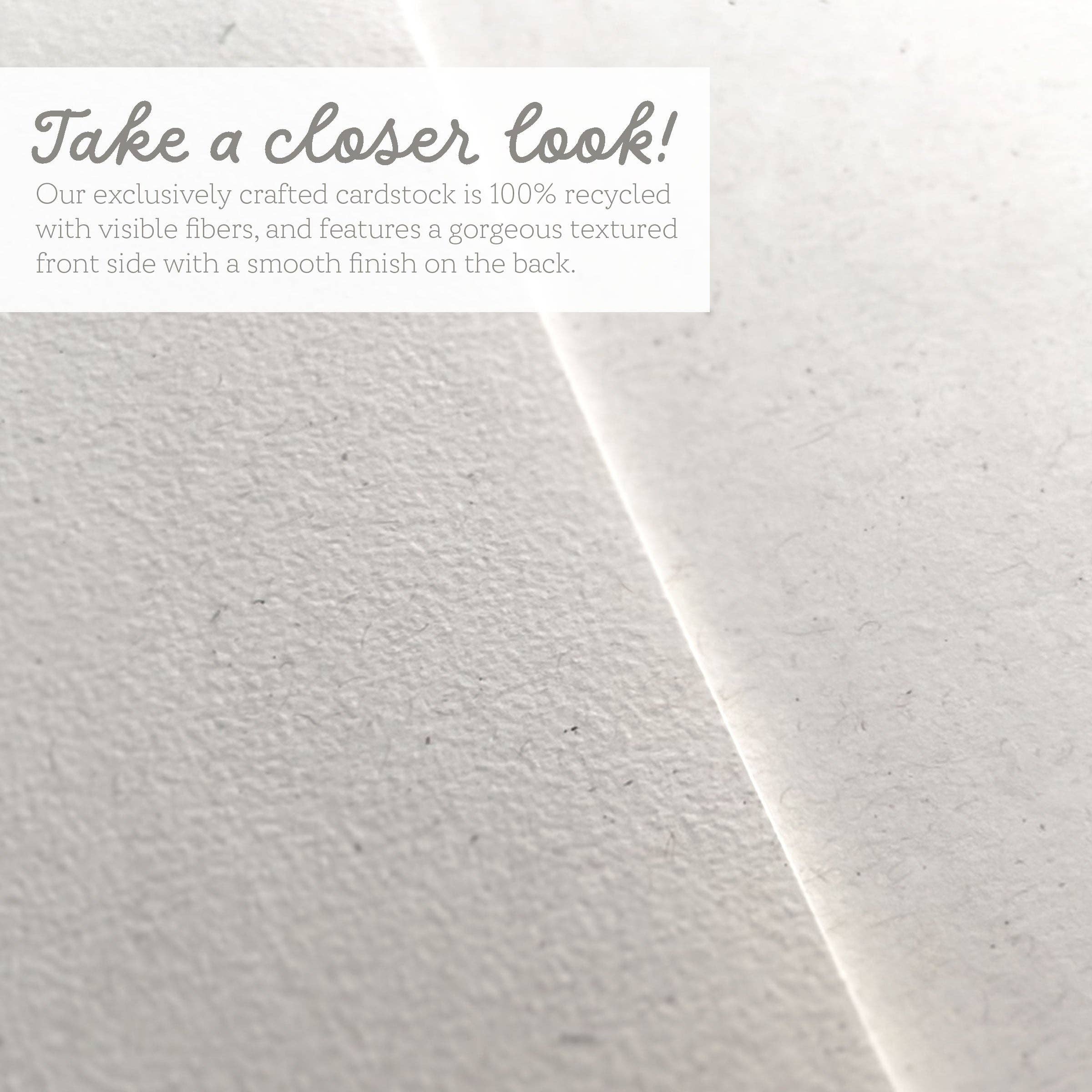 Lemon Doodle - Wholesale Stationery/Notecard Set - Love Letter - Mini Note Cards (Pack of 56)4