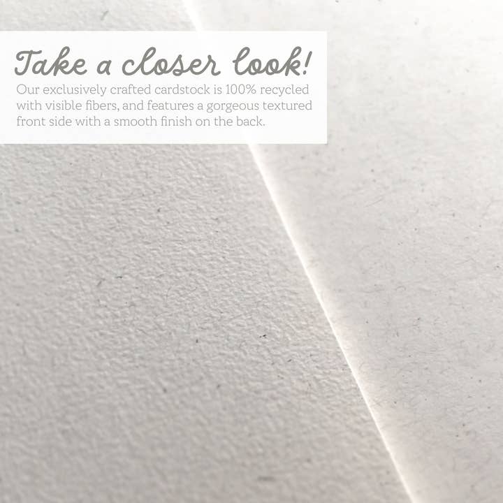 Lemon Doodle - Wholesale Stationery/Notecard Set - Love Letter - Mini Note Cards (Pack of 56)4