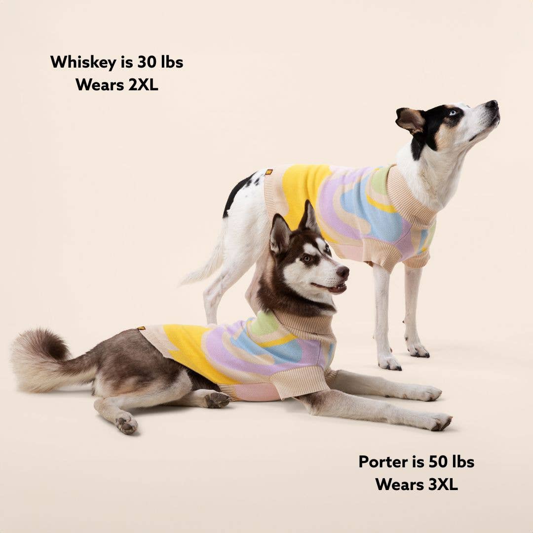 Sunbean - Wholesale Pet Sweater - Dog - Wavy Knitted Dog Sweater5