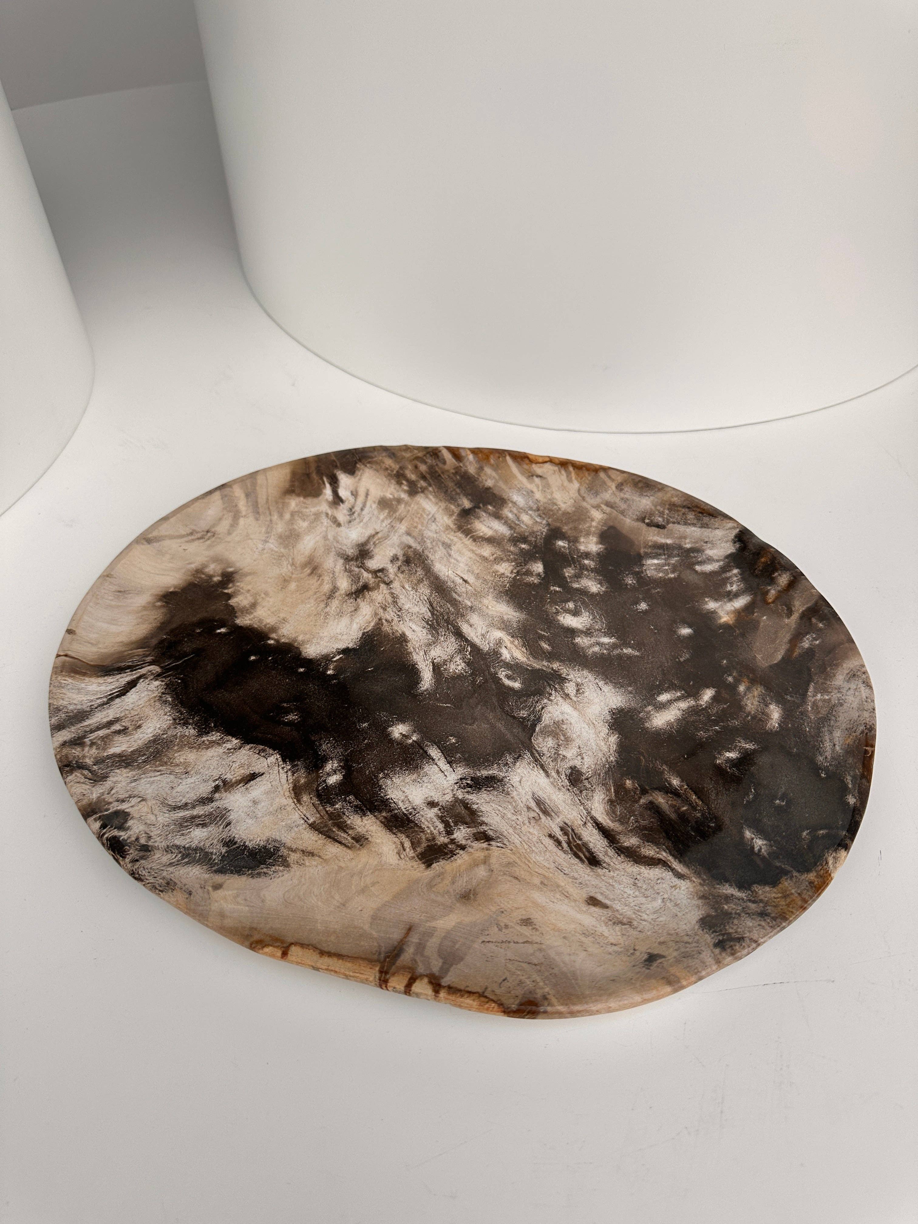 Office Objets - Vente Assiettes/plats/bols de décoration - Très grand vide poche ou plat en bois pétrifié13