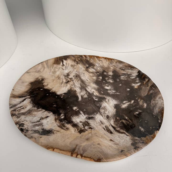 Office Objets - Wholesale Decorative Plate/Dish/Bowl - Very large catchall or dish in petrified wood13