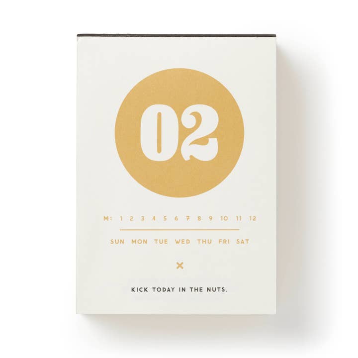 Chronicle Books - Wholesale Calendar - Brass Monkey Make My Day Undated Desk Calendar3