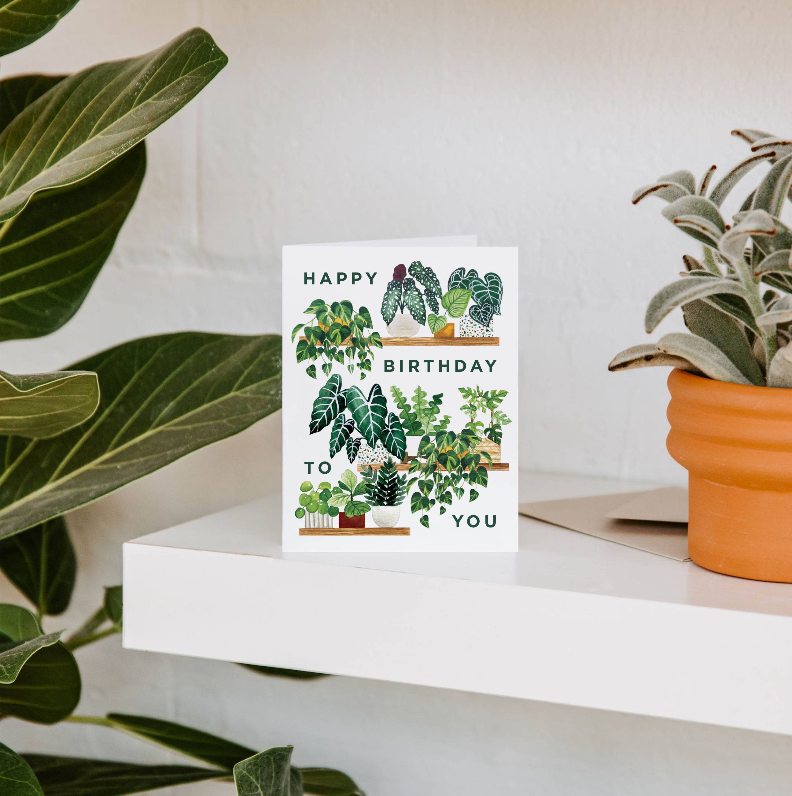 Paper Anchor Co. - Wholesale Birthday Card - Plant Shelf Happy Birthday Greeting Card | Houseplants Card1
