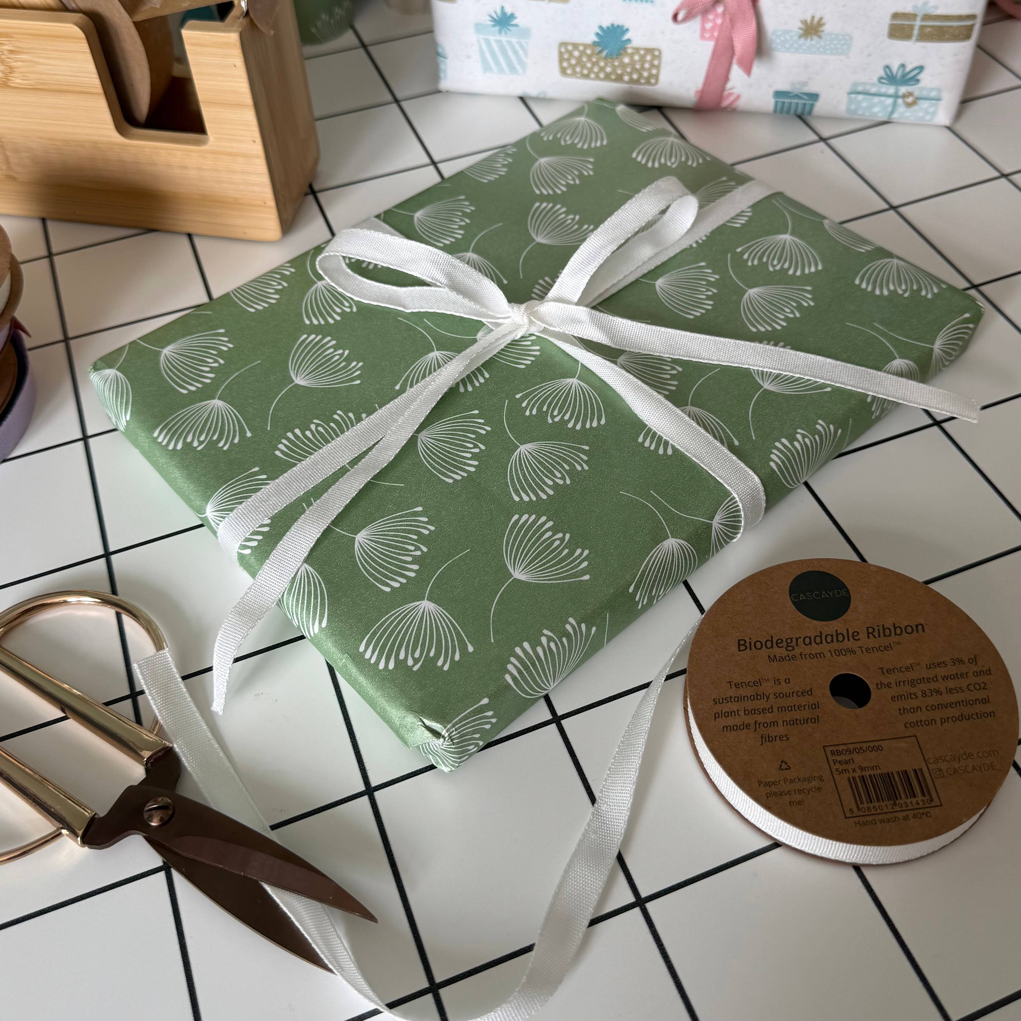 Cascayde - Wholesale Ribbon - Gift Wrapping - Pearl White Biodegradable Ribbon 5m Reel (9mm)4