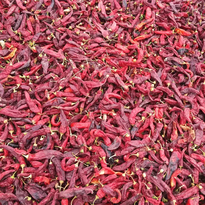 ORENCIO HOYO, S.L. - Wholesale Dried Spice - Smoked Spicy Paprika Bag Yuste 1557 DOP 1Kg3