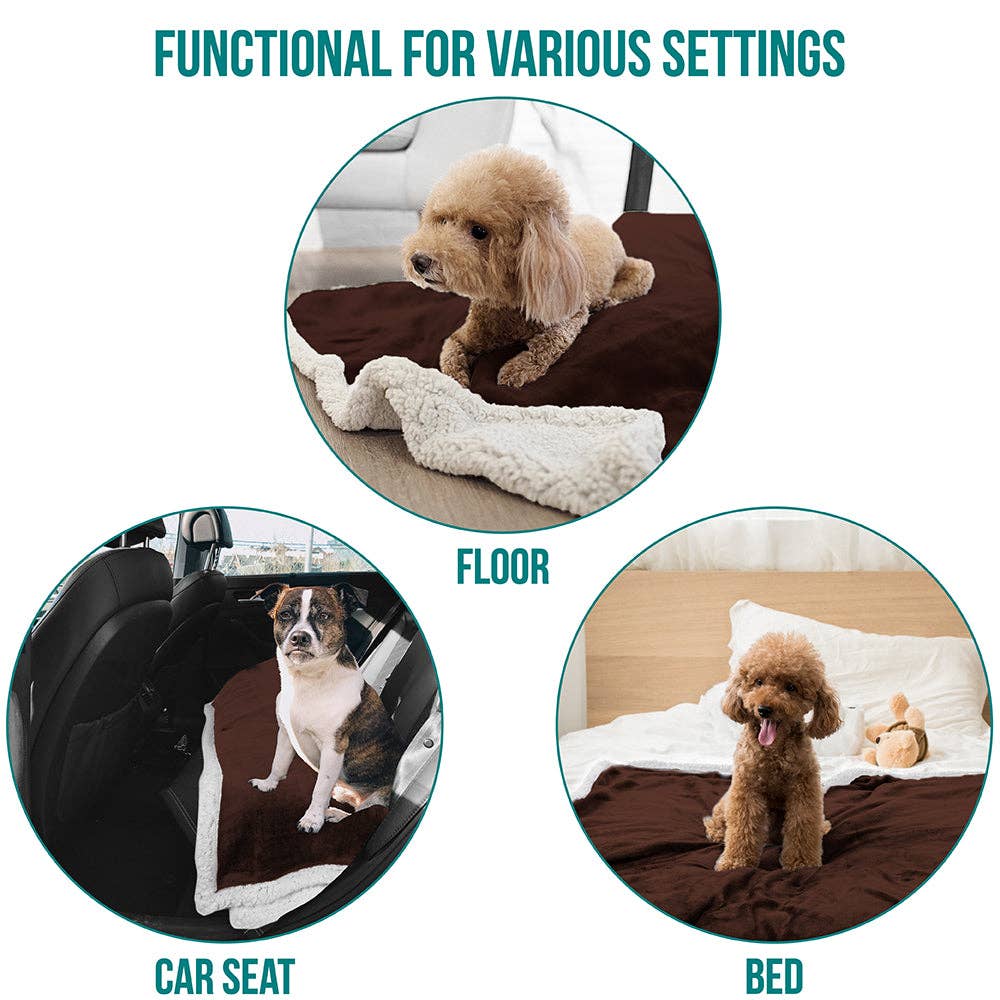 PetAmi - Vente Couverture – chat et chien - Couverture pour animaux en polaire réversible32