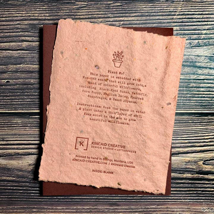 Kincaid Creative - Wholesale Love Card - Let's Grow in Love. Seed Paper. Plantable Greeting Cards.