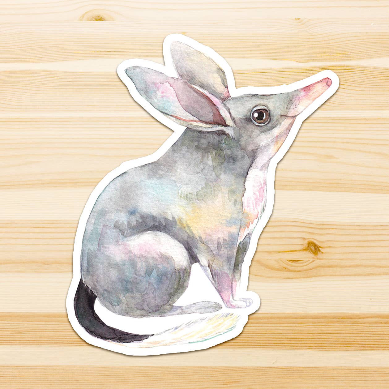 Watercolour By Cat - Wholesale Sticker - Large Australian Animal Vinyl Sticker8