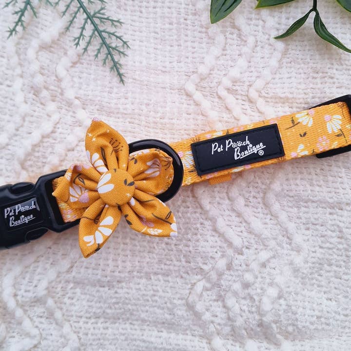 Pet Pooch Boutique - Wholesale Pet Collar - Dog - Sunshine Daisy Dog Collar With Optional Flower Accessory4