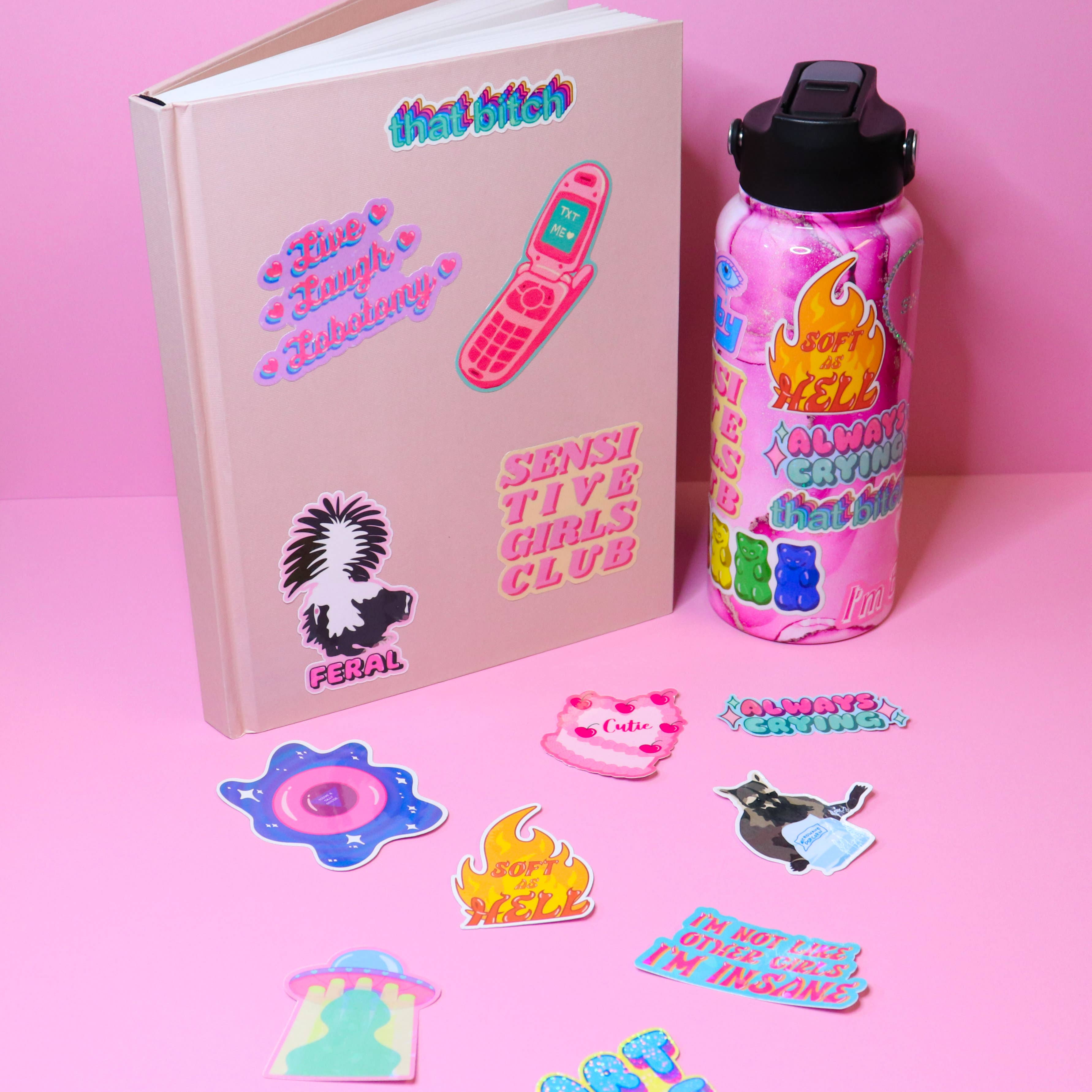 Sticker Hardly Know Her - Wholesale Sticker - Recovery Is Possible Waterproof Vinyl Sticker5