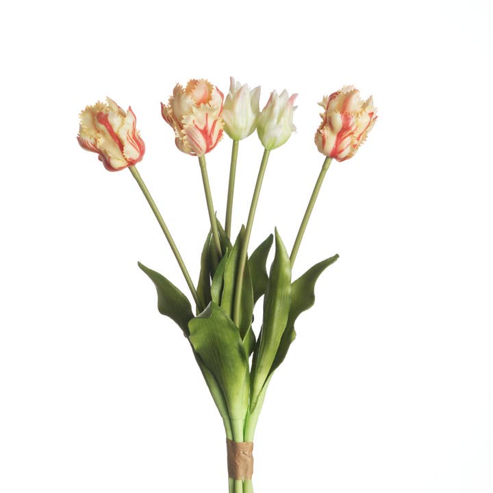 Boeket Real Touch Parrot Tulip for wholesale by DRYdecorations