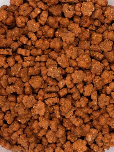 Grain-Free Salmon & Dill Mini-Paws 7.5kg for wholesale by Betty Miller