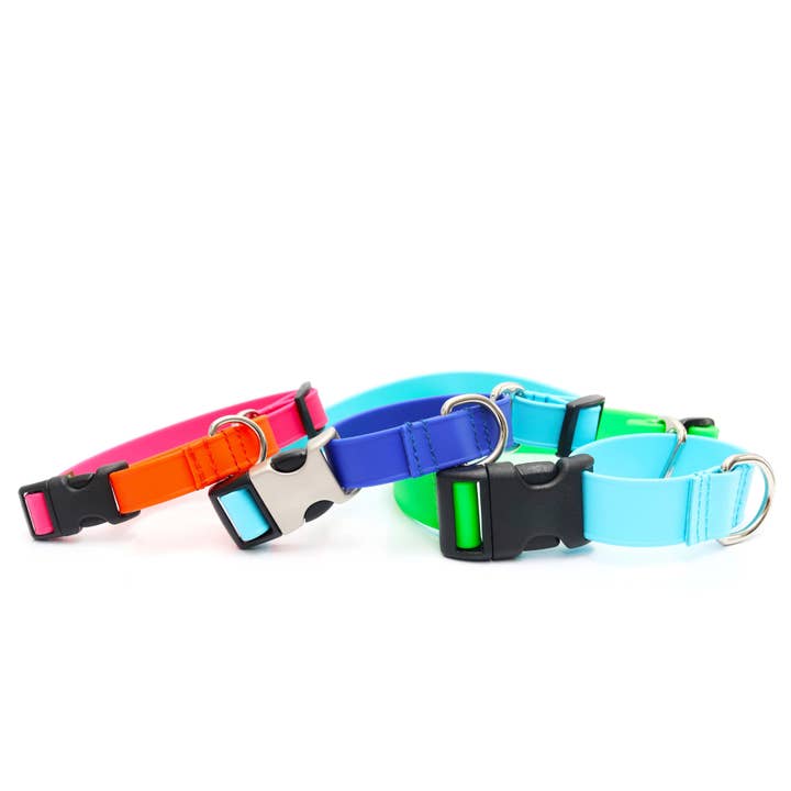 Biothane Waterproof Martingale Dog Collar - Two Tone for wholesale by Mimi Green