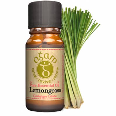 Citronnelle pour la vente par Ogam Oils