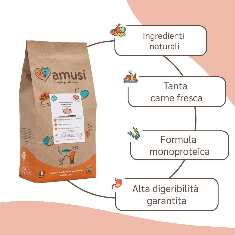 Pettech S.r.l. - Wholesale Pet Treats - Dog - Kibble with Fresh Pork, Potatoes, and Peas for Adults1