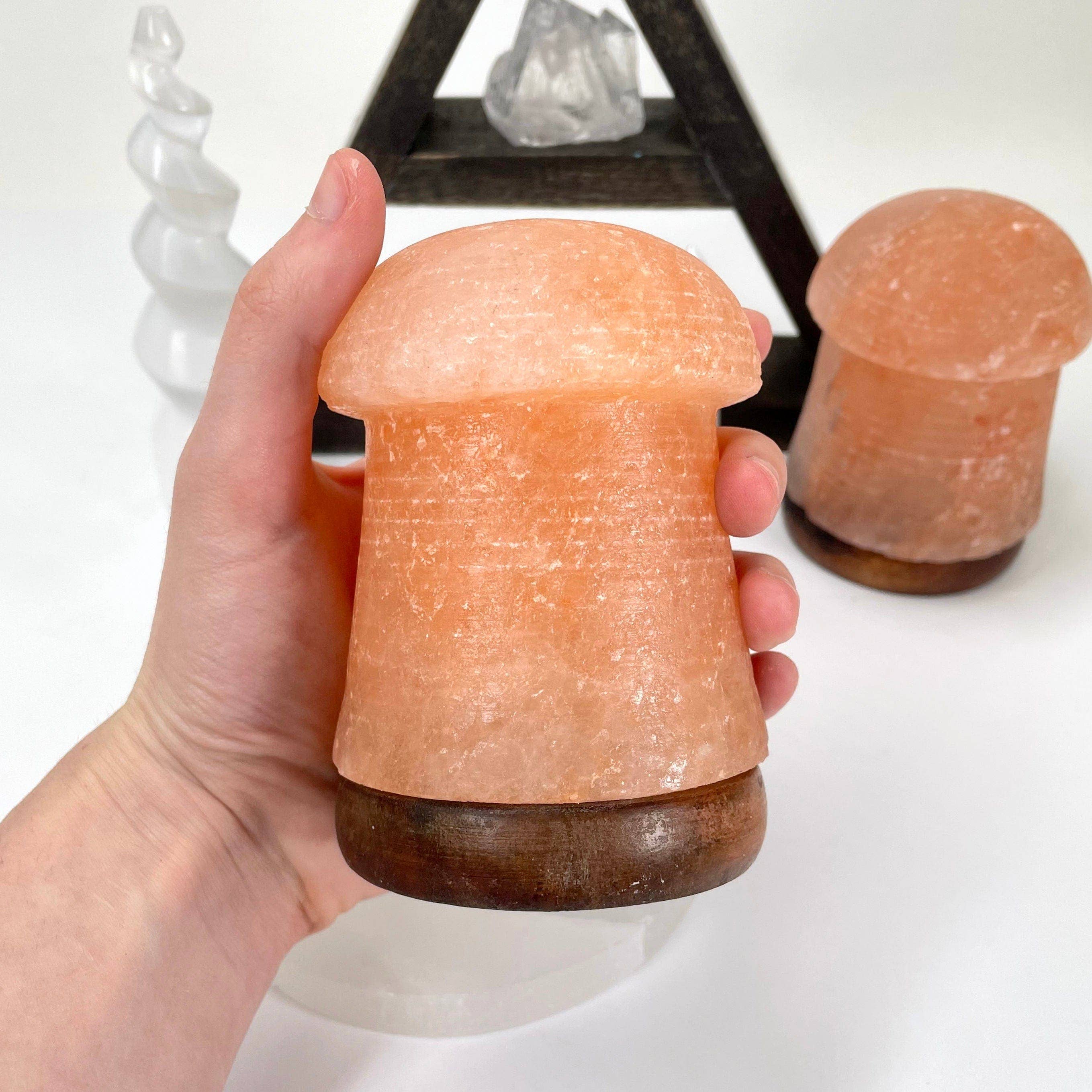 Rock Paradise - Wholesale Salt Lamp - Crystal Himalayan Salt Orange Mushroom Lamp3