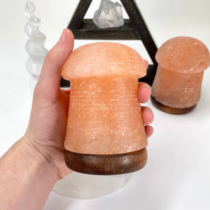 Rock Paradise - Wholesale Salt lamp - Crystal Himalayan Salt Orange Mushroom Lamp3