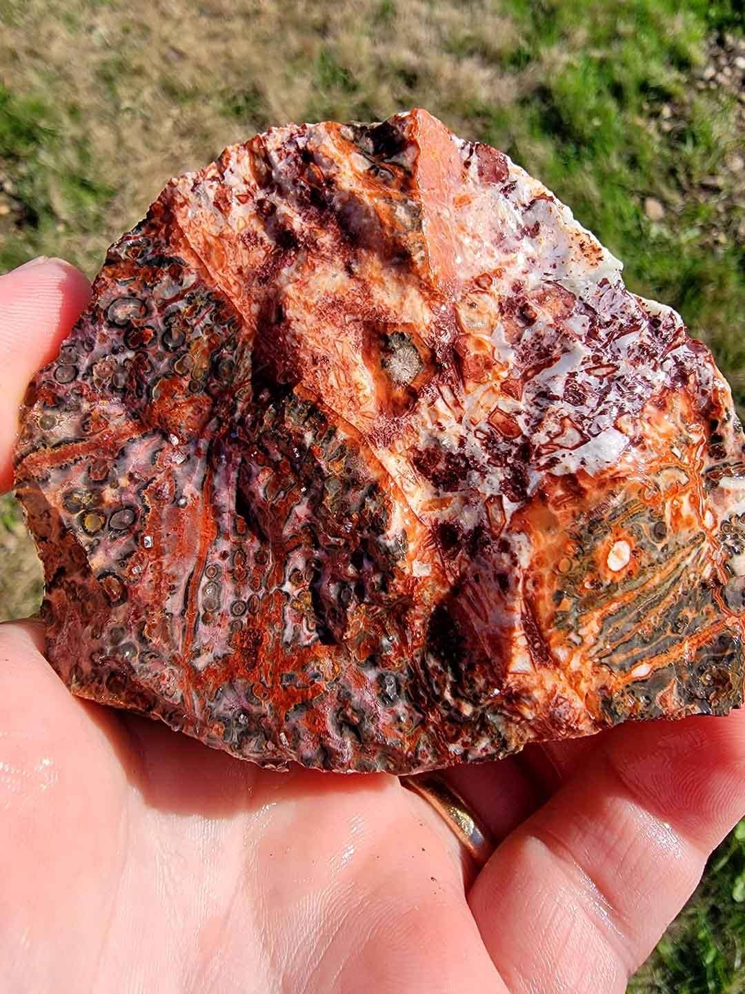 Lapidary Central – Pedra/cristal espiritual por atacado – Amostra Aleatória de Riólito Pele de Leopardo Mexicano em Bruto!7