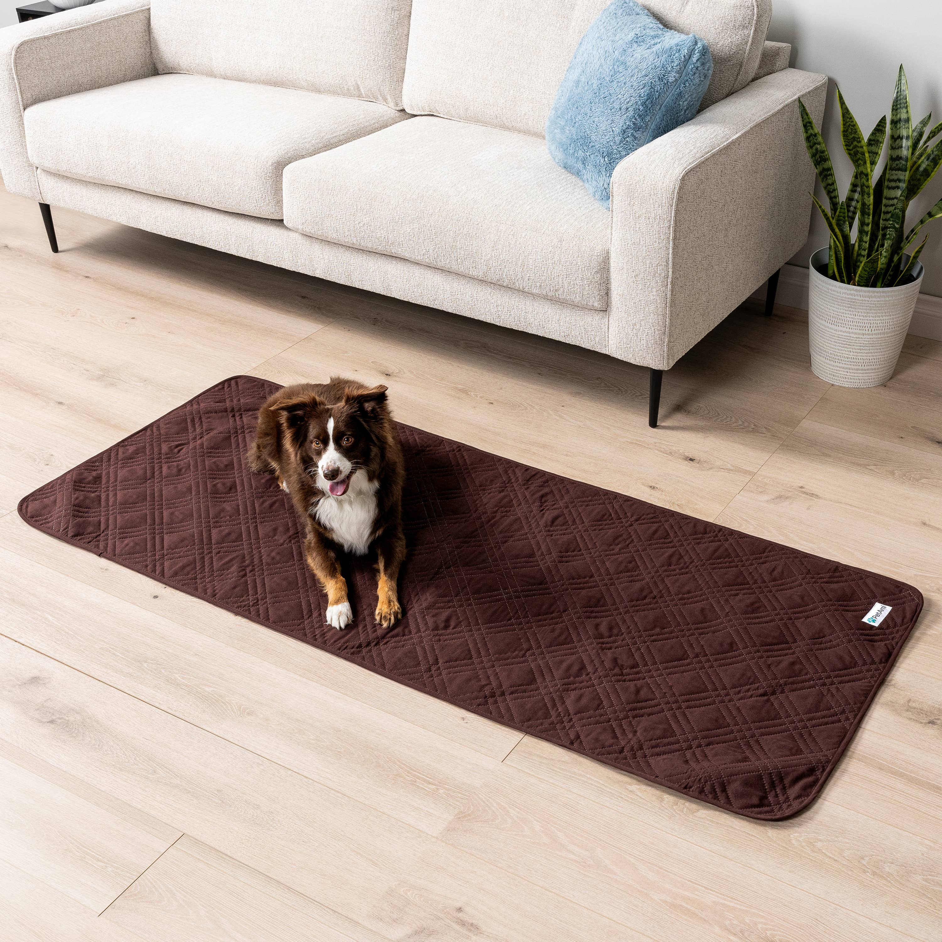 PetAmi - Vente Couverture – chat et chien - Housse de canapé imperméable pour animaux de compagnie13