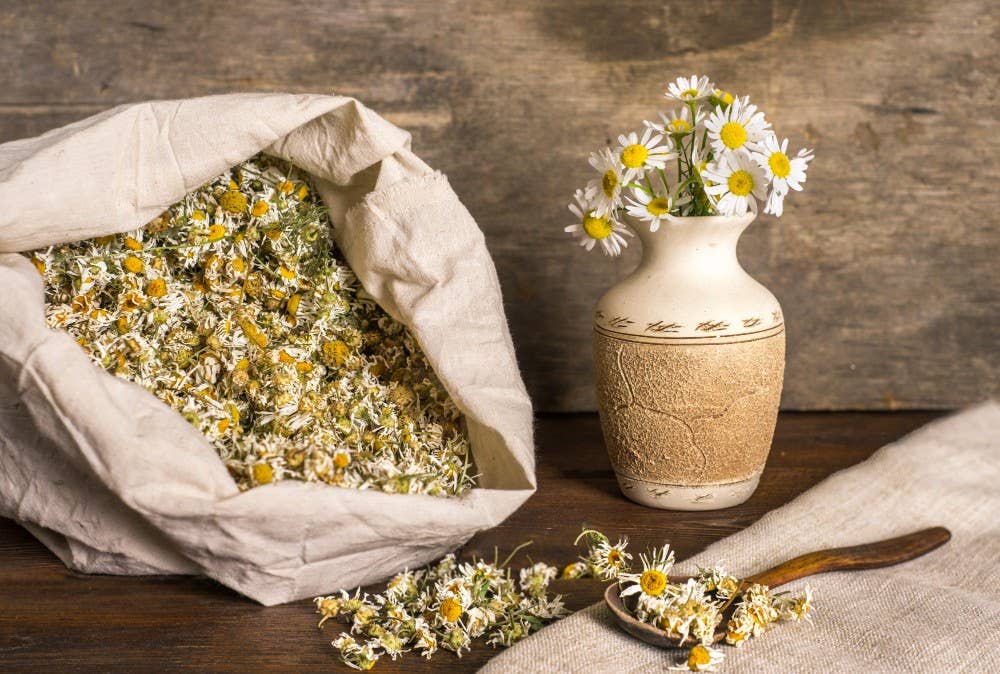 HECOSFAIR - Wholesale Loose Tea - Organic dried German chamomile flowers from France0