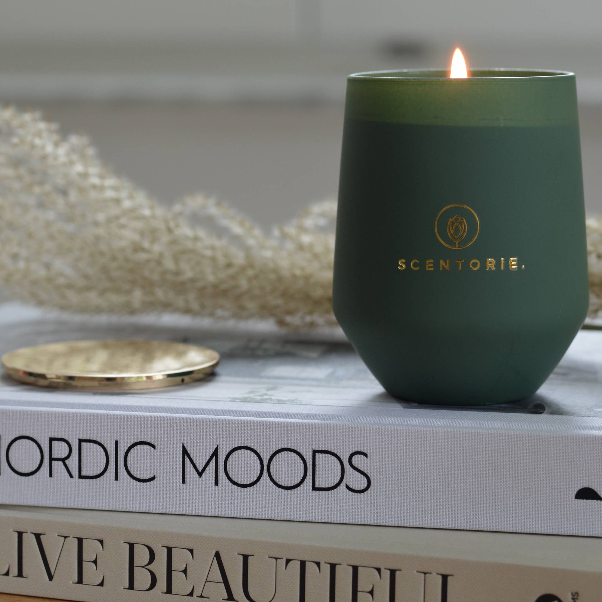 SCENTORIE. - Wholesale Jar/Filled Candle - WILD WOODS Rapeseed Wax Scented Candle 300g/60h 5