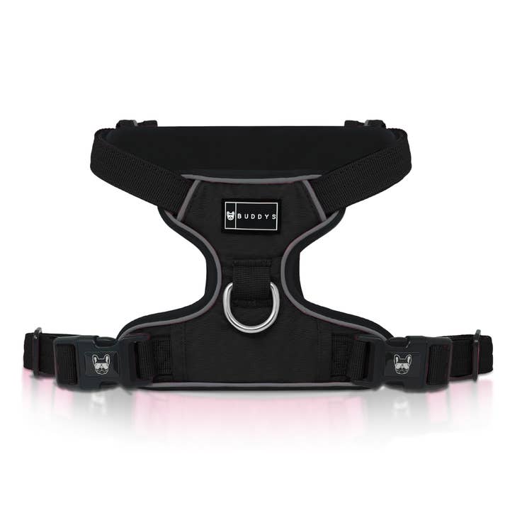 Black Explorer Harness for wholesale by Buddys-uk