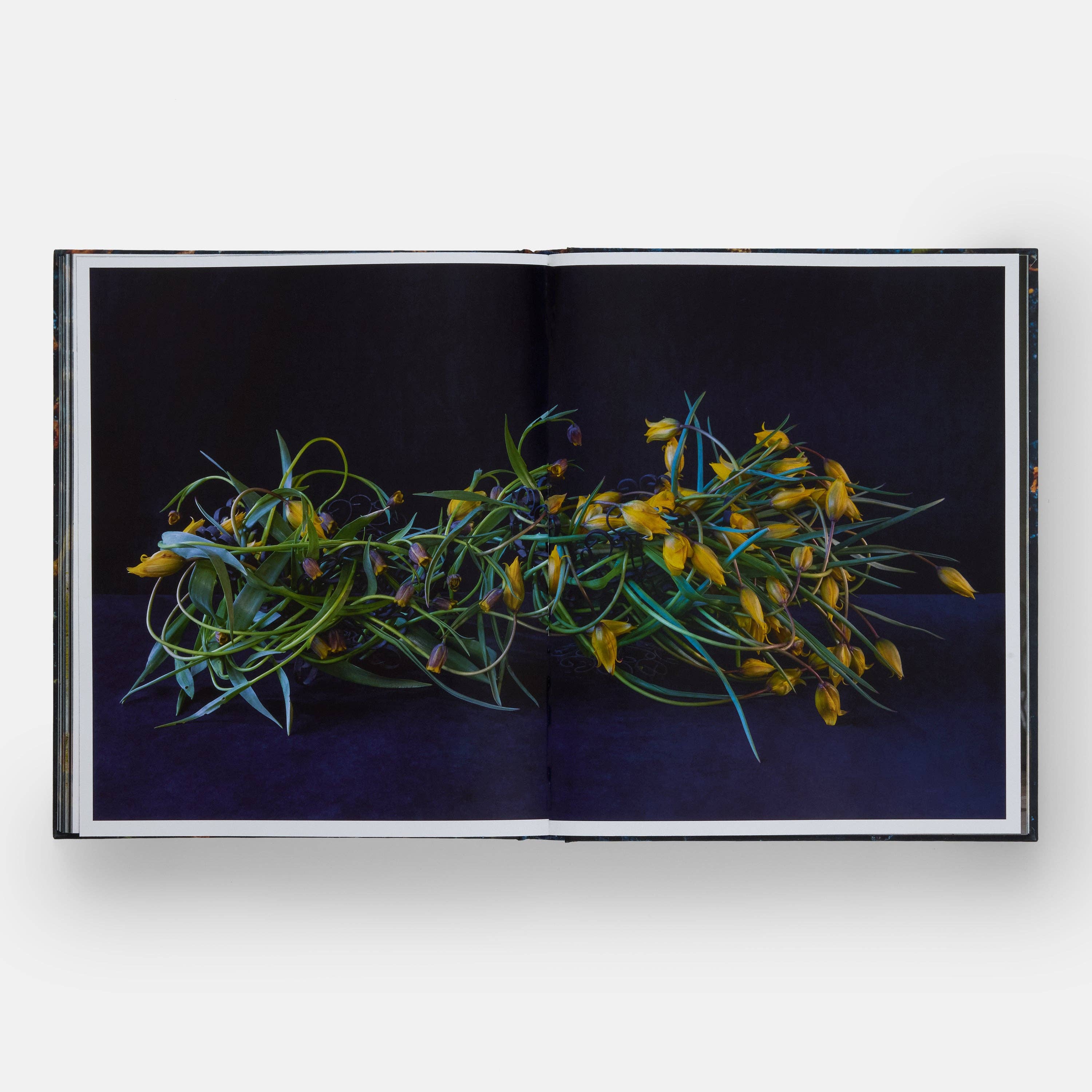 Phaidon Press – wholesale Book – Adult – Emily Thompson Flowers6