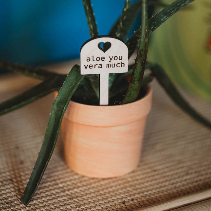 PlantsNsht - Wholesale Garden/lawn stake - Aloe You Vera Much Plant Sign