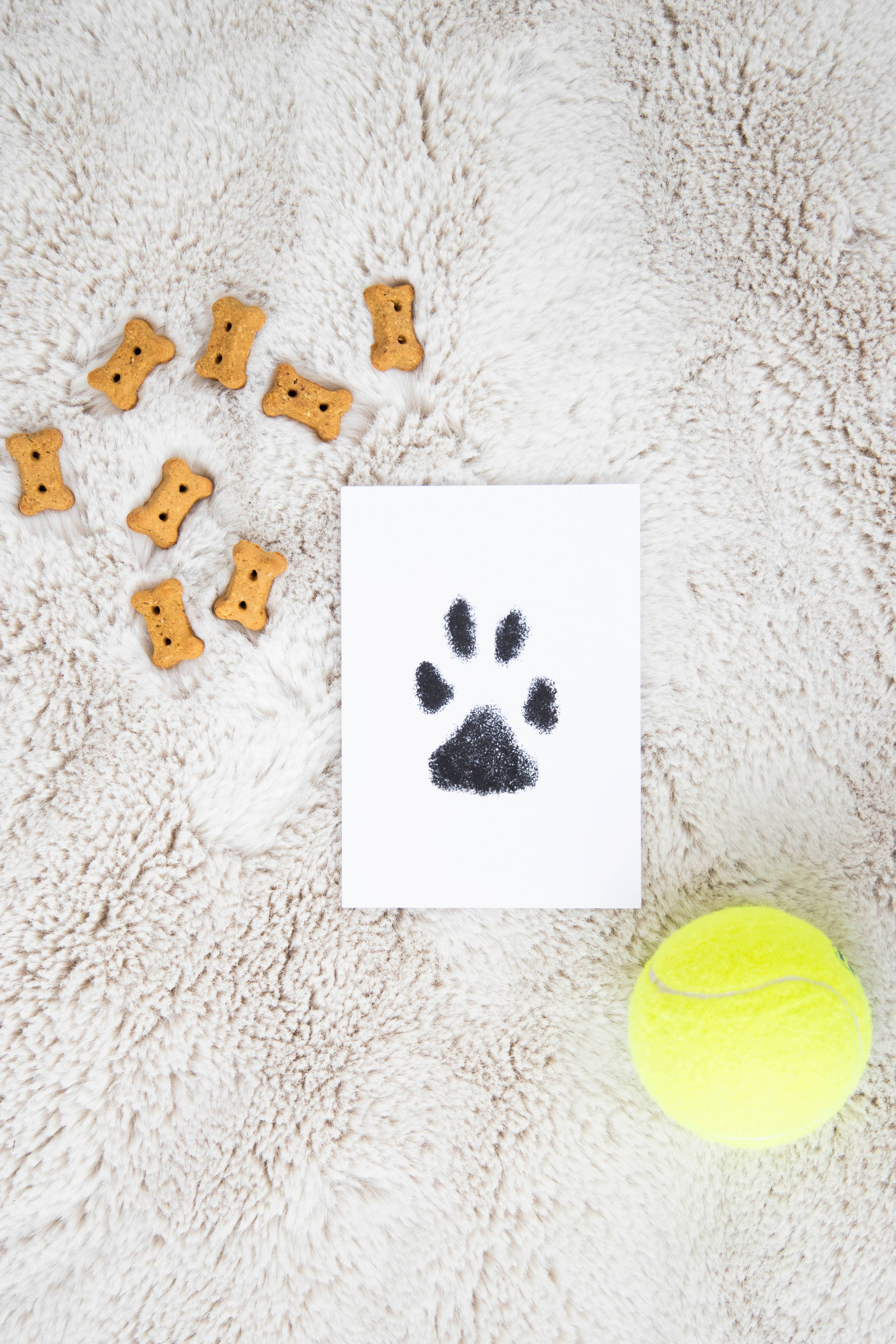 Pearhead - Vente Tampons encreurs - Tampon à encre Clean-Touch Pet Pawprint, moyen/grand, noir10