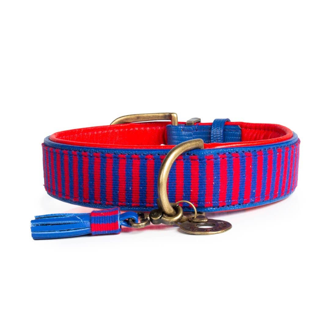 Dog with a Mission - Wholesale Pet Collar - Dog - Mr Clooney Dog Collar3