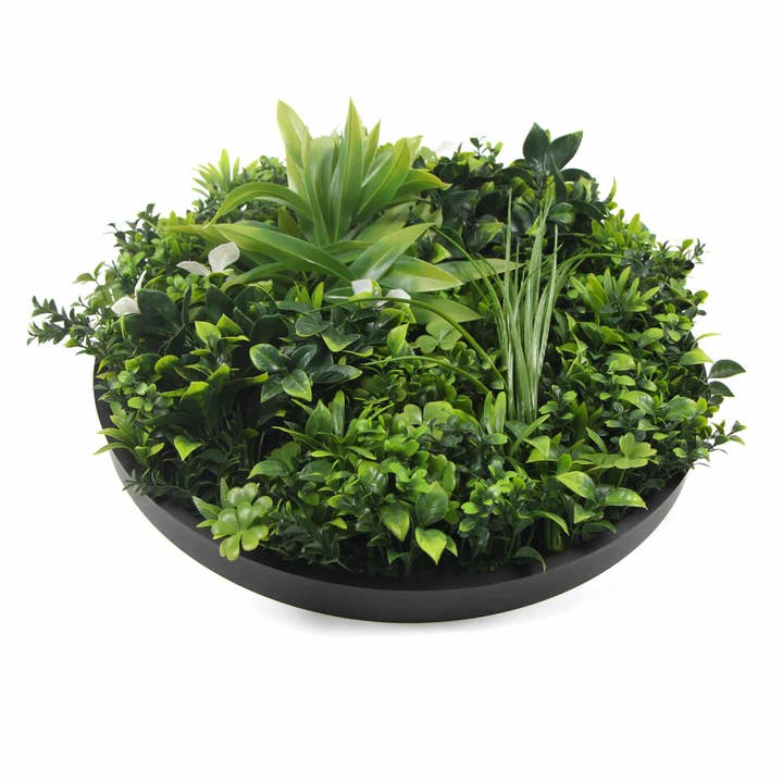 Designer Plants AU - Wholesale Artificial plant - Slimline Flowering White Artificial Green Wall Disc UV Resistant 50cm (Black Frame)4