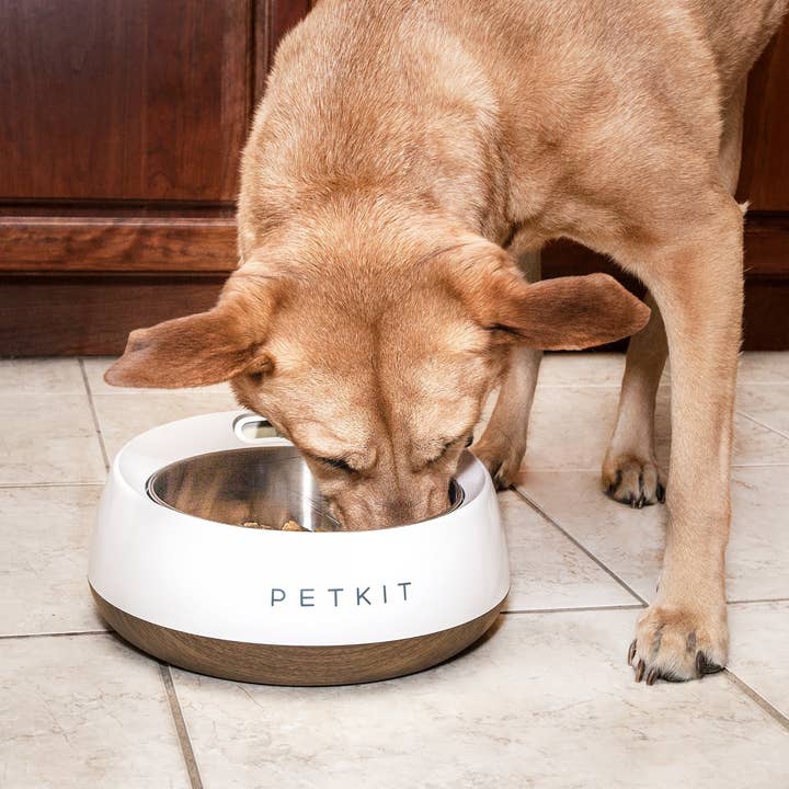 Pet Life - Wholesale Pet Bowl - Cat/Dog - Petkit Fresh Metal Large Machine Digital Feeding Pet Bowl