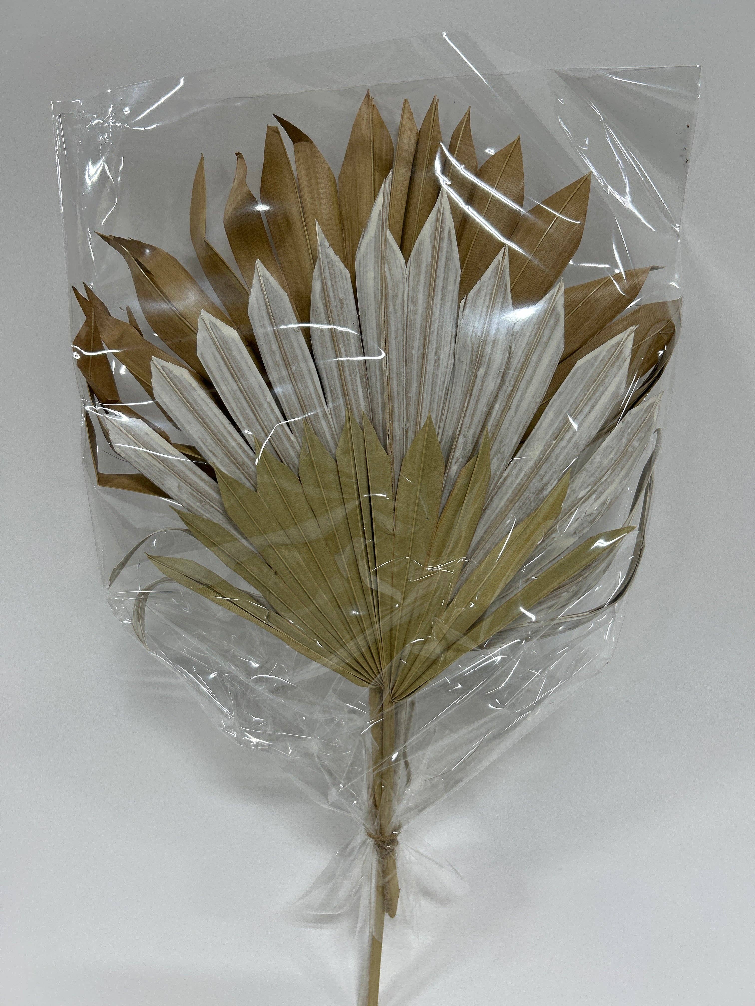GS Foliage - Wholesale Dried/Pressed Flowers - Dried Sun Palm - 3pc Bunch 0