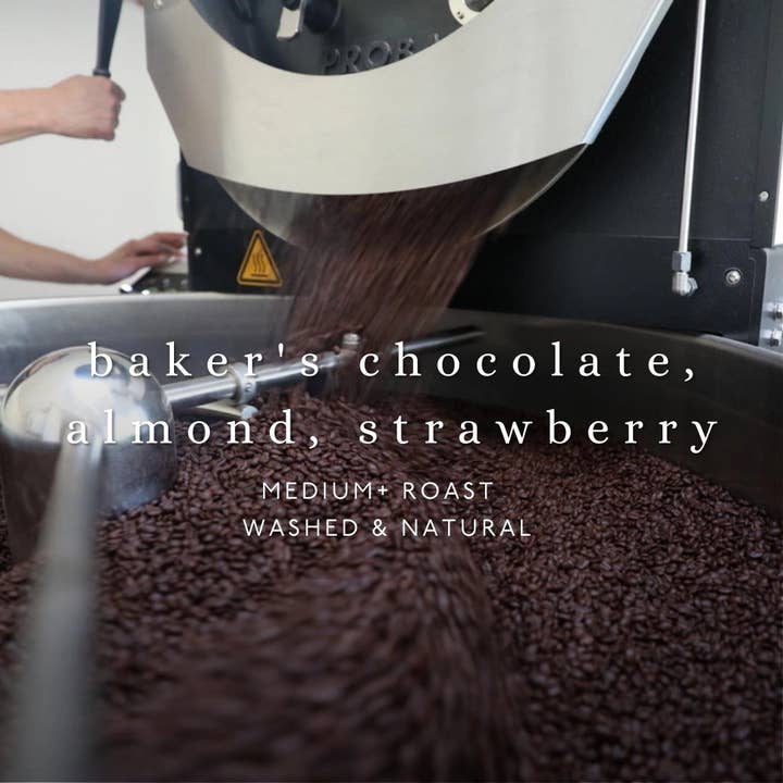 No. Six Depot - Vendita all'ingrosso Caffè in grani - Caffè in grani Infinite Jest 12 oz1