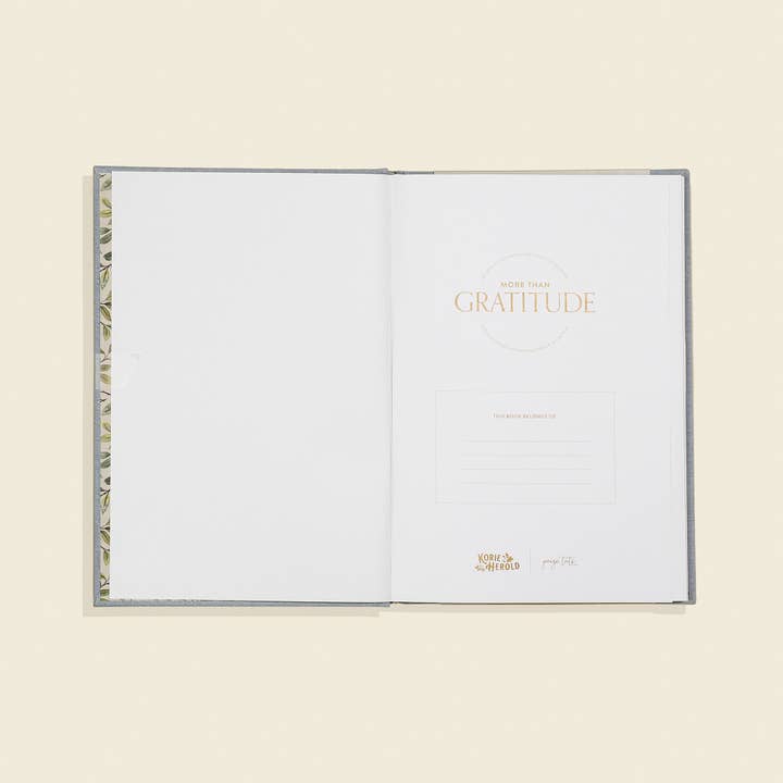 Paige Tate & Co. - Wholesale Journal/Diary - More Than Gratitude: A Christian Guided Journal 3