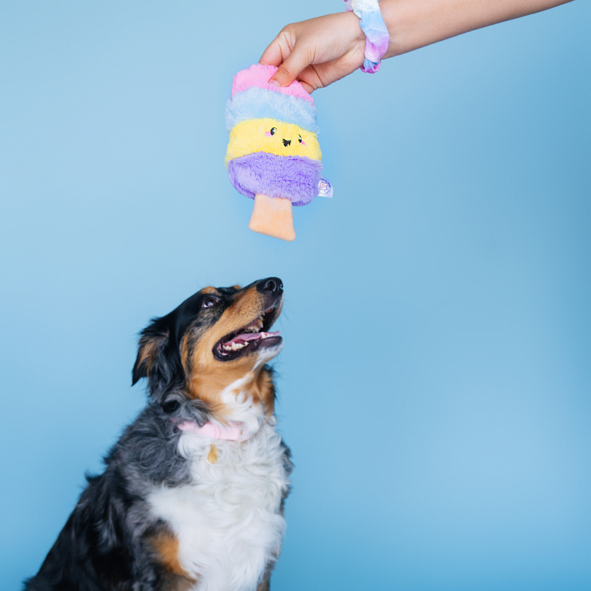 Bundle x Joy - Wholesale Pet Plush Toy - Dog - Poppin Popsicle Summer Dog Toy with Crinkle & Squeaker 2