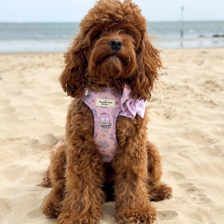 The Paw Print Boutique - Wholesale Pet Harness - Dog - Mermaids Tails Adventure Paws Harness17