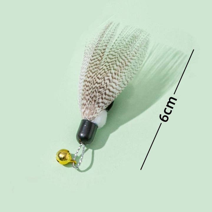 PAWPAWwholesale - Wholesale Pet Toy - Cat - Insect Teaser Wand for Cats – Refill Bug Heads_CWMM67957