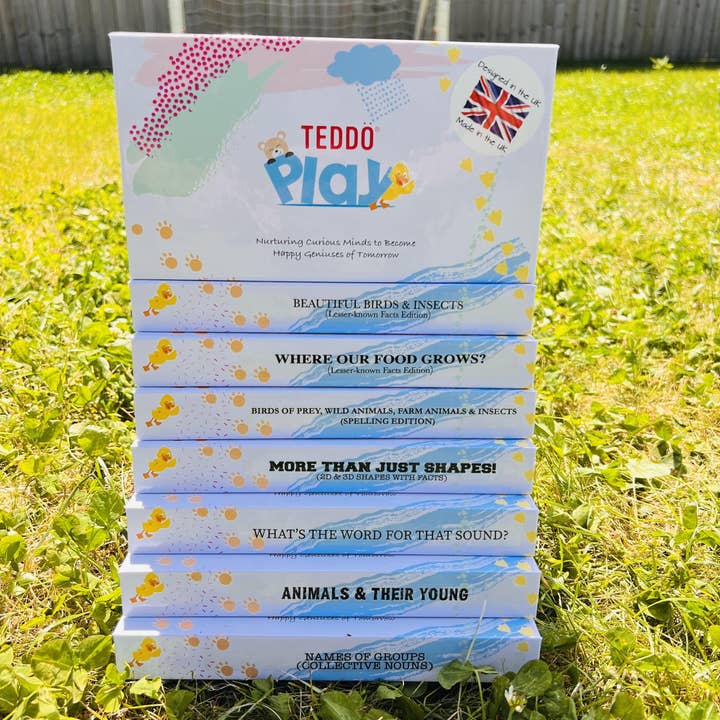 Teddo Play Multi-Bundle of Minis Educação de volta às aulas por atacado de Teddo Play