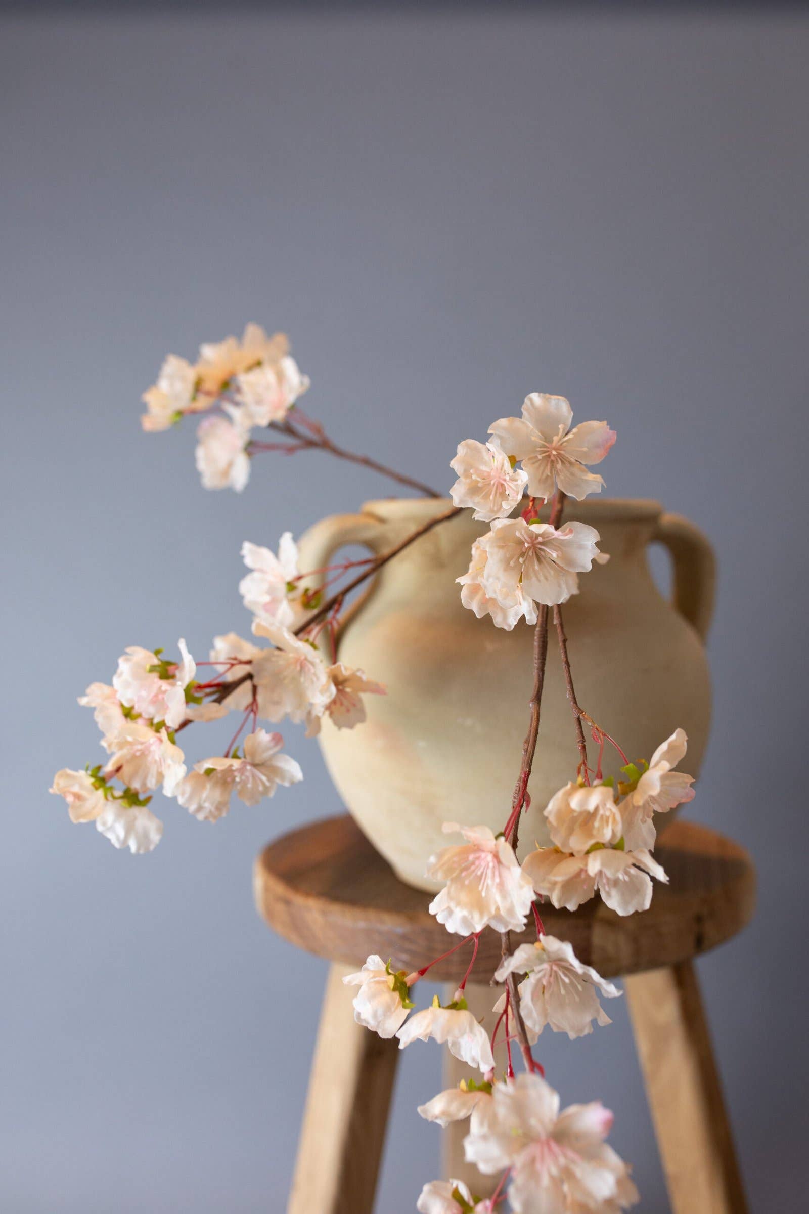 Curated Studio - Wholesale Decorative Jar - Avanos Yogurt Jar2