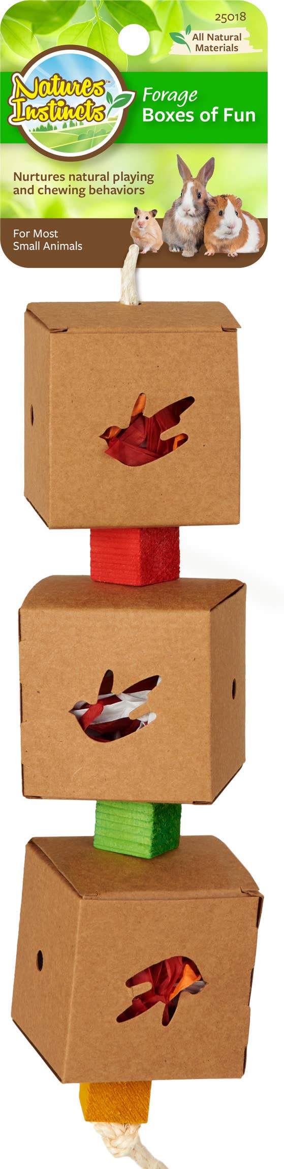 Caitec Inc – wholesale Pet toy – Not cat/dog – Forage Boxes Small Pet Toy – Nature's Instincts2