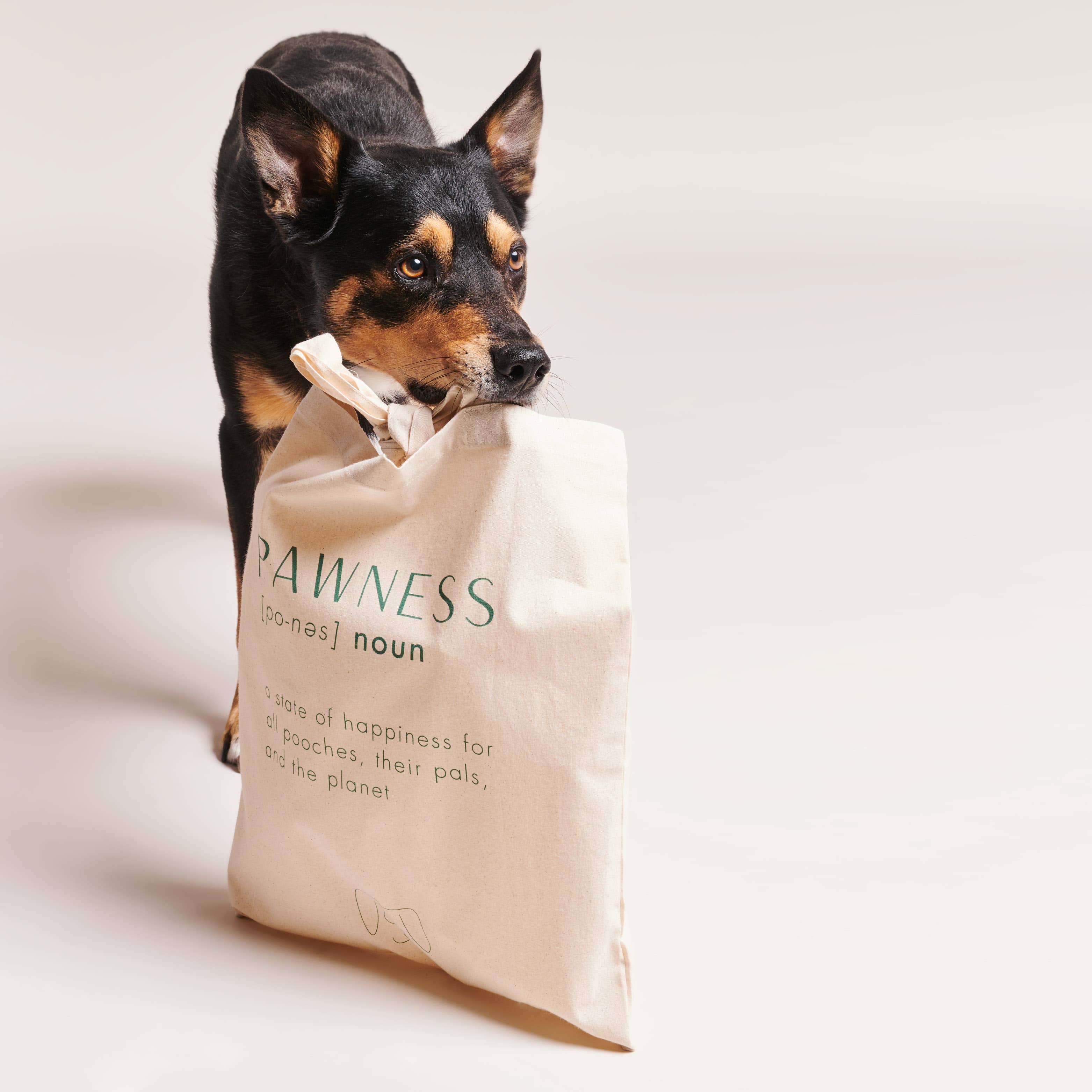 Pawness - Vente Sacs de course/à provisions - Cabasses en coton biologique1