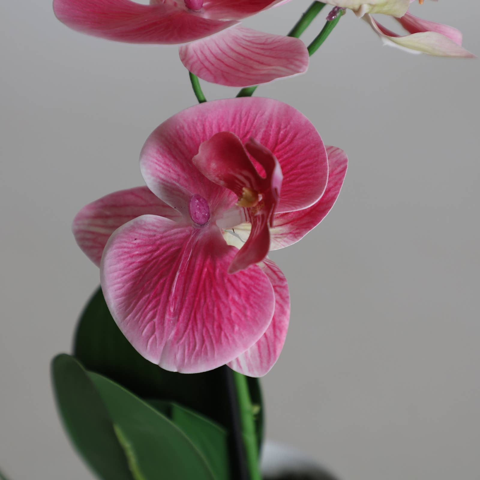 B&B – Planta artificial por atacado – Orquídea artificial de plástico, branca, 28x11x38 cm2