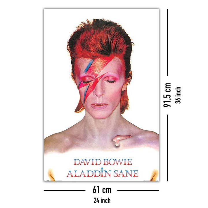 Close Up GmbH - Wholesale Poster - David Bowie Poster Aladdin Sane 61 cm x 91.5 cm4