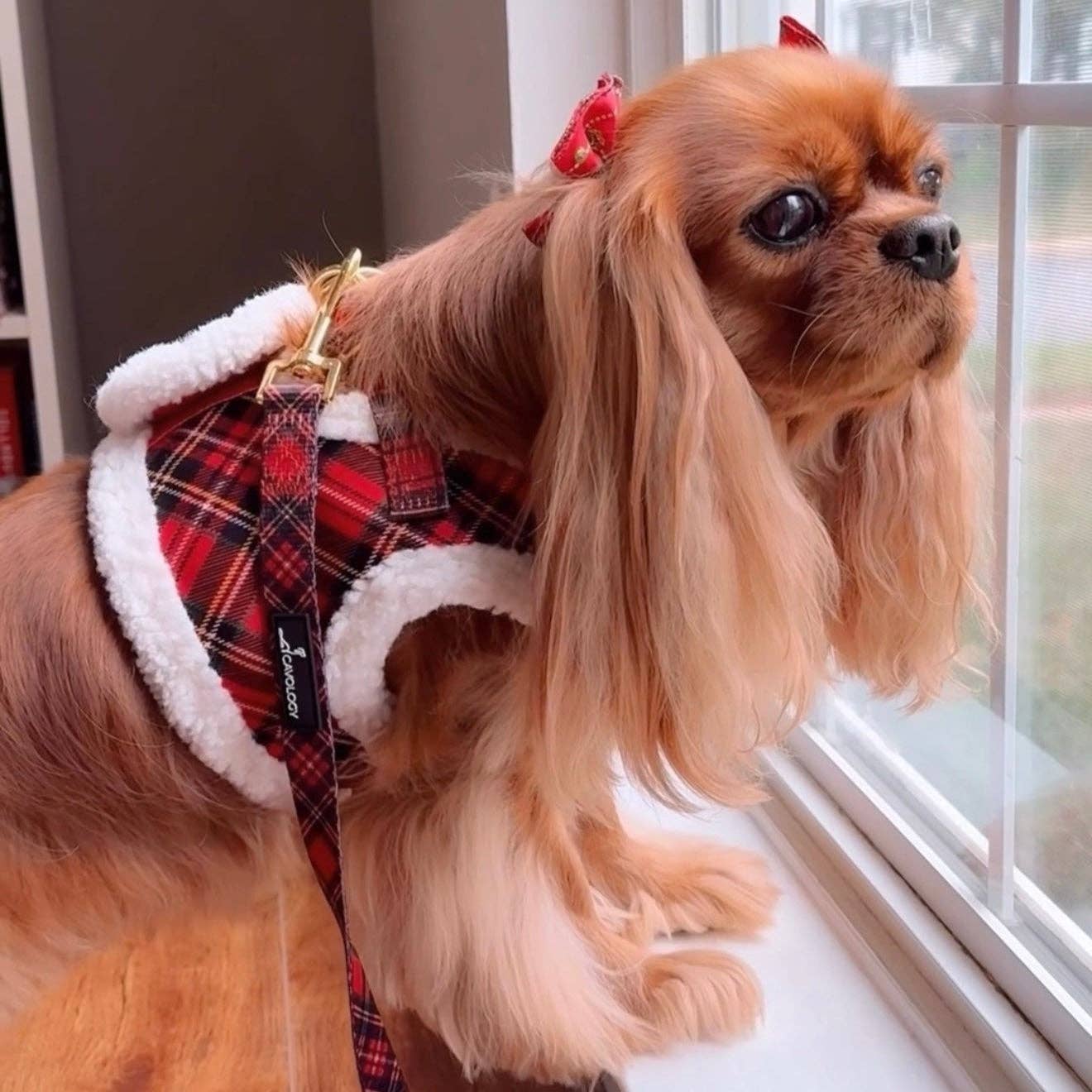 Cavology - Wholesale Pet Harness - Dog - VEST STEP IN HARNESS - Red Plaid Tartan Sherpa Winter Wonderland5