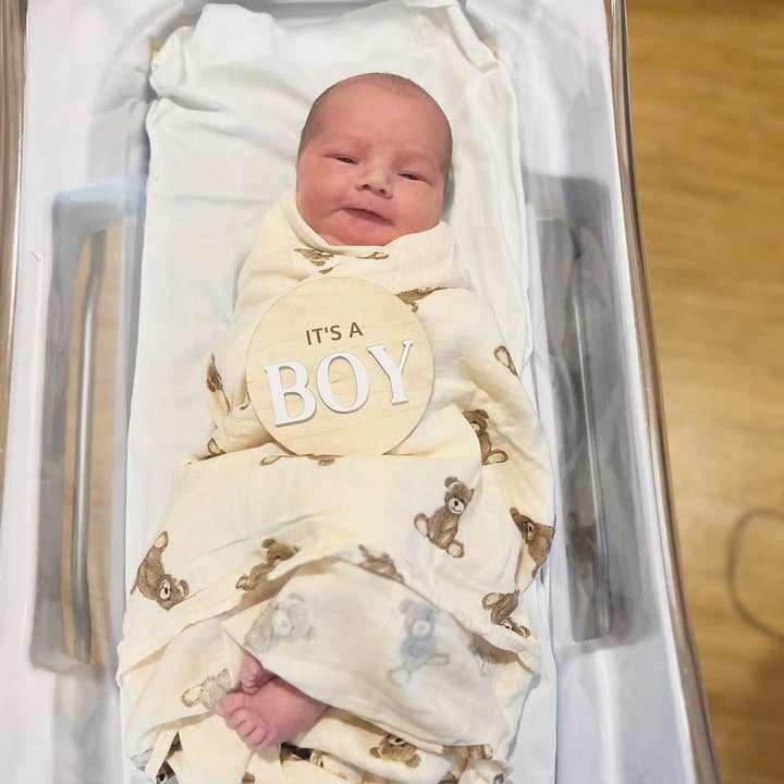 Ali+Oli - Wholesale Swaddle - Baby - Bamboo Muslin Swaddle Blanket (Teddy Bear)