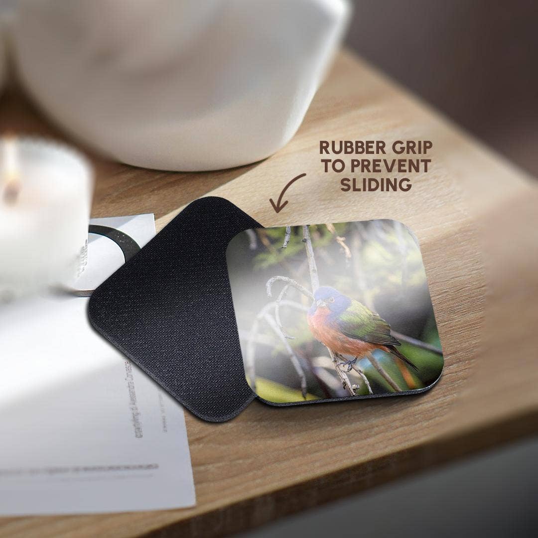 3dRose - Wholesale Coasters - 3dRose, A beautiful male painted bunting., Coaster10